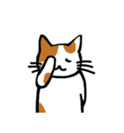 茶ぶちねこ（個別スタンプ：10）