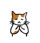 茶ぶちねこ（個別スタンプ：11）