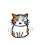 茶ぶちねこ（個別スタンプ：12）