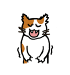 茶ぶちねこ（個別スタンプ：13）