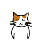 茶ぶちねこ（個別スタンプ：14）