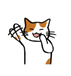 茶ぶちねこ（個別スタンプ：16）