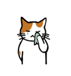 茶ぶちねこ（個別スタンプ：17）