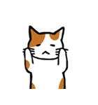 茶ぶちねこ（個別スタンプ：18）