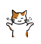 茶ぶちねこ（個別スタンプ：21）