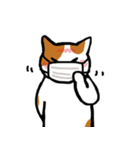 茶ぶちねこ（個別スタンプ：22）