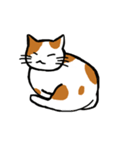 茶ぶちねこ（個別スタンプ：24）
