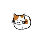 茶ぶちねこ（個別スタンプ：31）