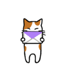 茶ぶちねこ（個別スタンプ：33）