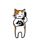 茶ぶちねこ（個別スタンプ：34）
