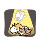 ねこスタ（個別スタンプ：3）