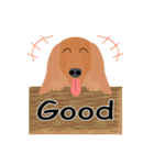 ダックスフンド・レッド（犬シリーズ）（個別スタンプ：3）