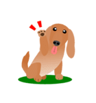 ダックスフンド・レッド（犬シリーズ）（個別スタンプ：5）