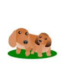 ダックスフンド・レッド（犬シリーズ）（個別スタンプ：39）