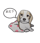 犬のきもち（個別スタンプ：2）