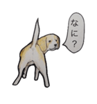 犬のきもち（個別スタンプ：10）