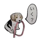 犬のきもち（個別スタンプ：19）