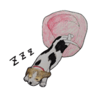 犬のきもち（個別スタンプ：24）