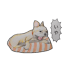 犬のきもち（個別スタンプ：26）