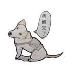 犬のきもち（個別スタンプ：28）