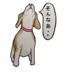 犬のきもち（個別スタンプ：35）