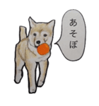 犬のきもち（個別スタンプ：36）