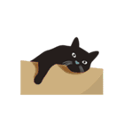 黒猫のルル（個別スタンプ：13）