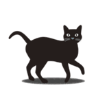 黒猫のルル（個別スタンプ：31）