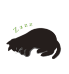 黒猫のルル（個別スタンプ：36）