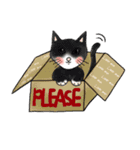 My Lady（個別スタンプ：36）