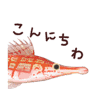 おさかなスタンプ（個別スタンプ：2）