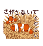 おさかなスタンプ（個別スタンプ：9）