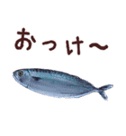 おさかなスタンプ（個別スタンプ：10）