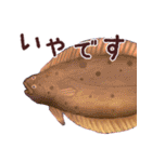 おさかなスタンプ（個別スタンプ：11）
