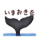 おさかなスタンプ（個別スタンプ：13）