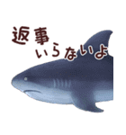 おさかなスタンプ（個別スタンプ：15）