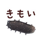 おさかなスタンプ（個別スタンプ：23）