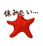 おさかなスタンプ（個別スタンプ：39）