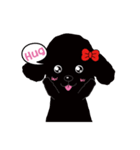 Black poodle and its friends（個別スタンプ：1）