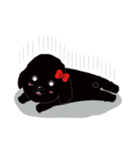 Black poodle and its friends（個別スタンプ：13）