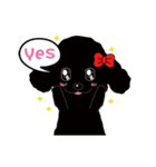 Black poodle and its friends（個別スタンプ：17）