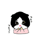 ころちゃんマン（個別スタンプ：4）