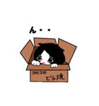 ころちゃんマン（個別スタンプ：9）