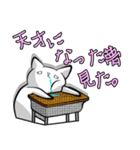 くじけるぐだぐだ猫の文字入りスタンプ（個別スタンプ：19）