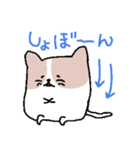 ねこづくし（個別スタンプ：5）