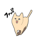 シュールアニマルズ（個別スタンプ：20）