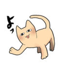シュールアニマルズ（個別スタンプ：24）