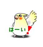 インコな日常 2.1（個別スタンプ：11）