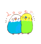 いろいろインコさん（個別スタンプ：1）