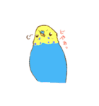 いろいろインコさん（個別スタンプ：2）